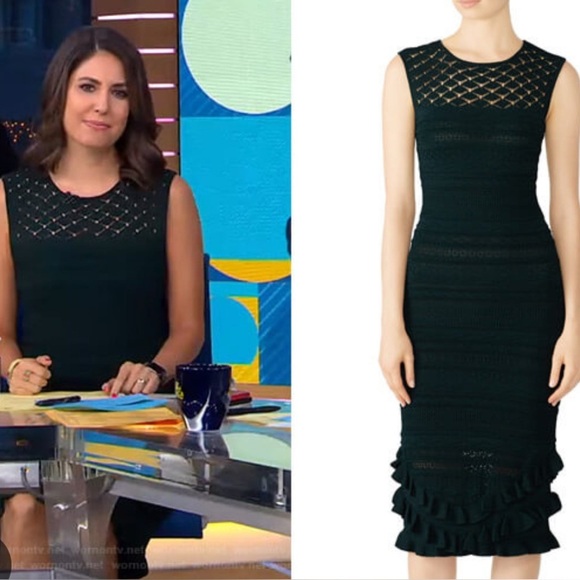 Sachin & Babi Skye Dress Knit Ruffle Bodycon Sleeveless Sz XL $495 - Picture 1 of 17